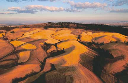 aerial photo of our farm