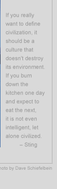 If you really want to define civilization, it should be a culture that doesn't destroy its environment. If you burn down the kitchen one day and expect to eat the next, it is not even intelligent, let alone civilized. - Sting
